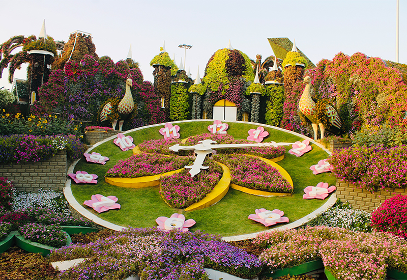 Scenic view of the Dubai Miracle Garden