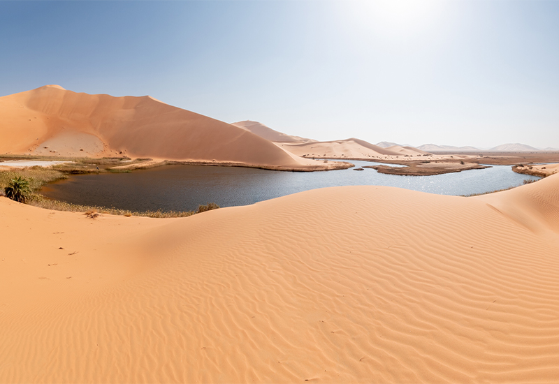 Scenic view of the Empty Quarter desert Scenic view of the Empty Quarter desert