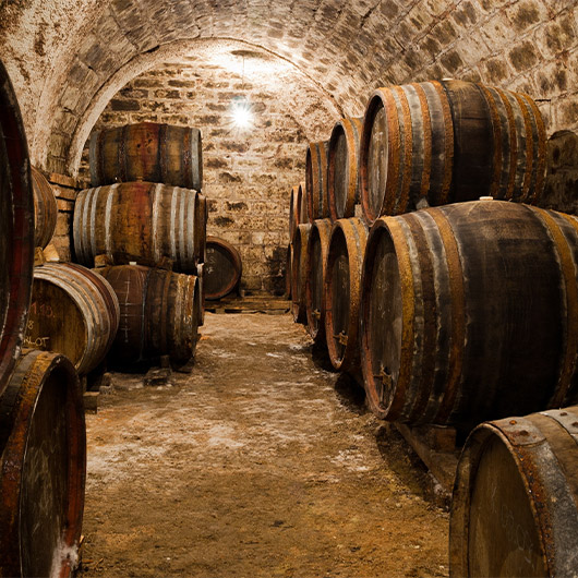 Scenic view of Hungarian Wine Cellar