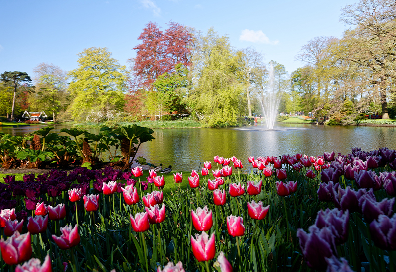 Scenic view of Keukenhof Gardens Scenic view of Keukenhof Gardens