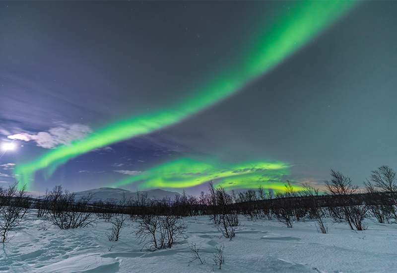 Scenic view of the Northern Lights in Abisko
