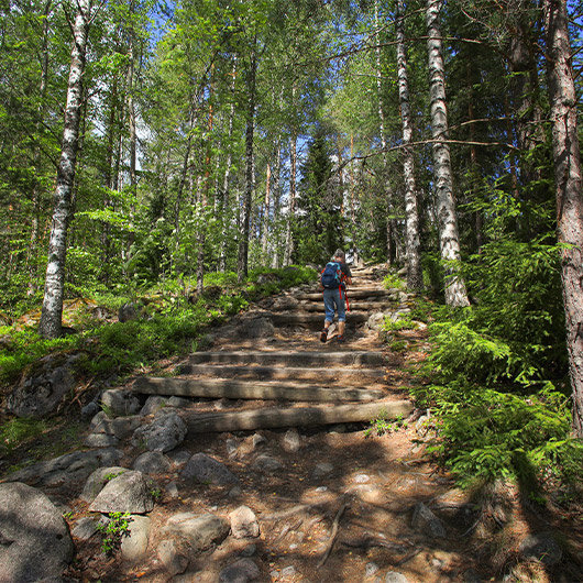 Scenic view of Nuuksio National Park