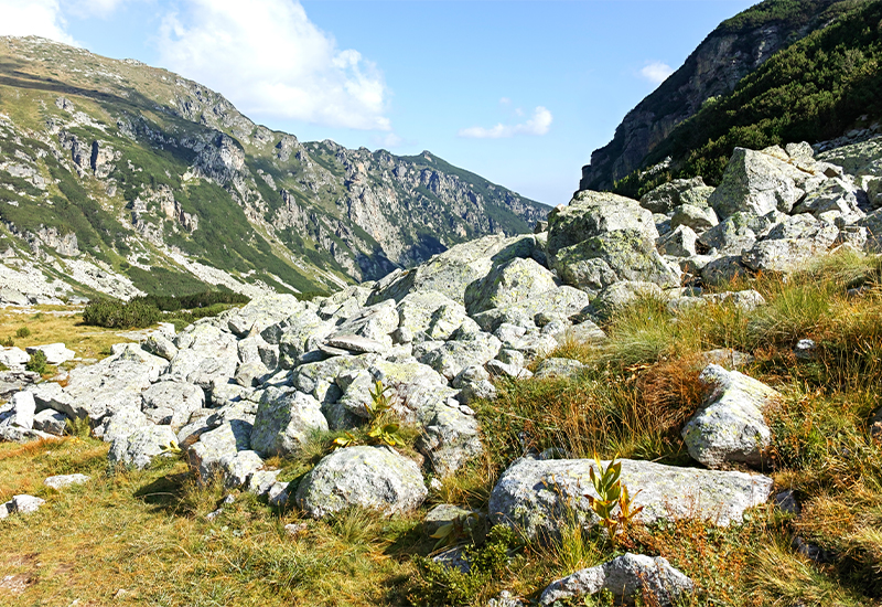 Scenic view of Ordino