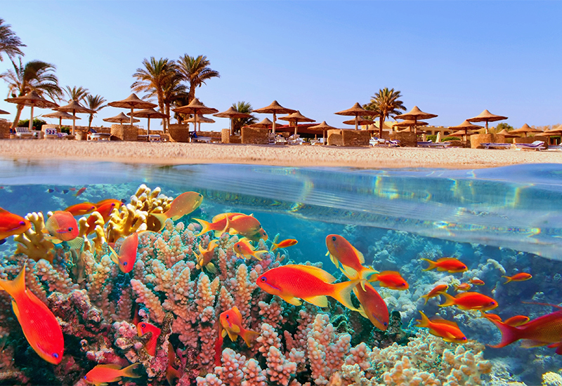Scenic view of Red Sea Reefs