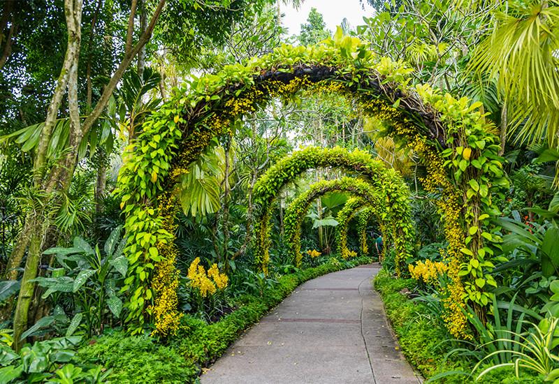 Scenic view of the Singapore Botanic Gardens