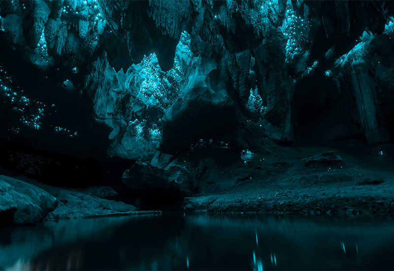 Scenic view of Waitomo Glowworm Caves