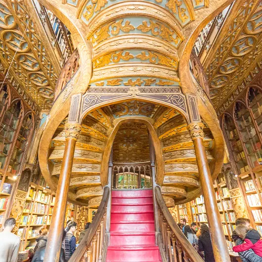 Une vue panoramique de la Librairie Lello