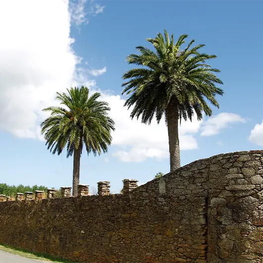 Una bella vista di Pazo Vilar de Francos