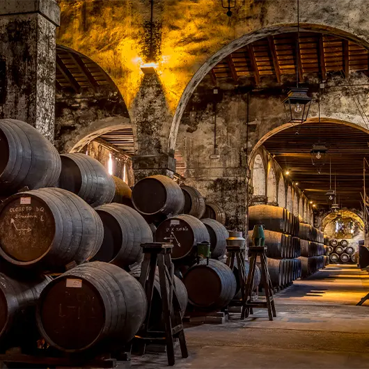 Una vista bonita de las Bodegas Osborne