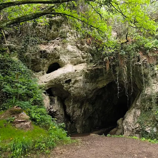 Una vista bonita de la Cueva de San Pedrín