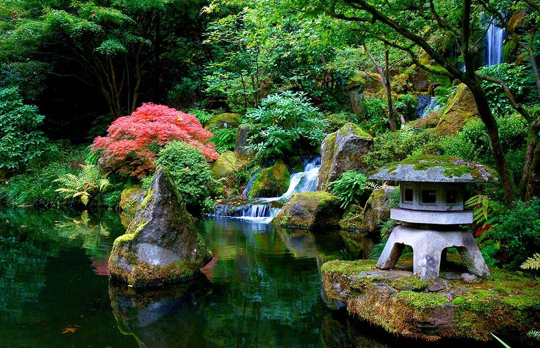 Japanese garden Tokyo