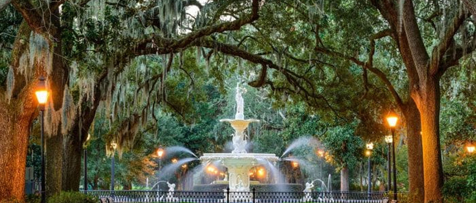 Oak Trees And Lush Spanish Moss In Forsyth Park, Savannah, Georgia