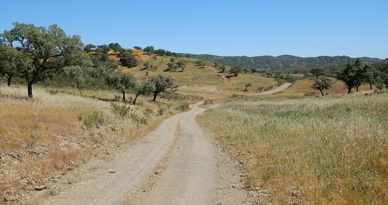 Tavira to Ameixial