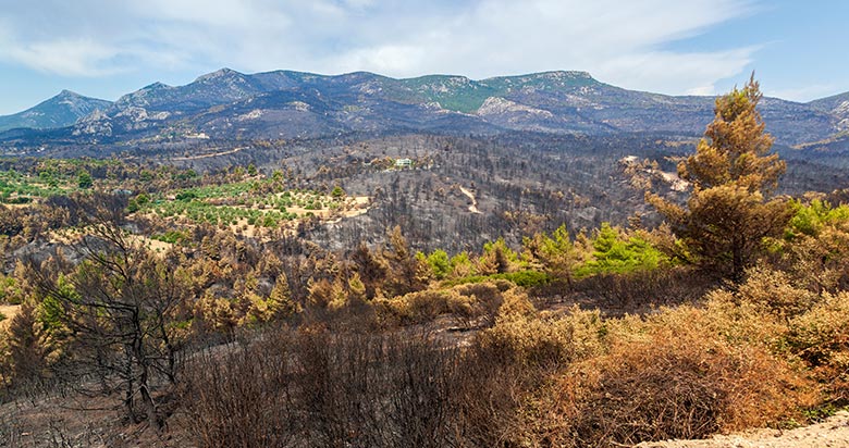 Mount Parnitha National Park