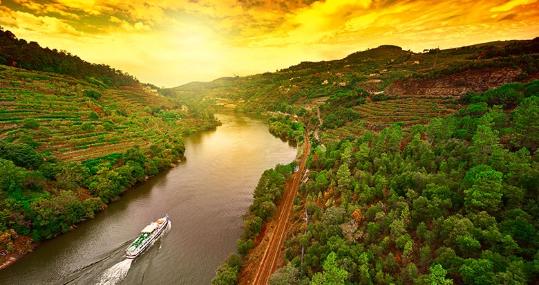 Porto to the Douro Valley