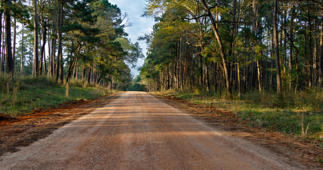 Sam Houston National Forest