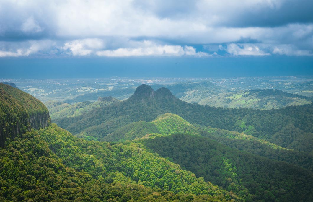 Springbrook national park