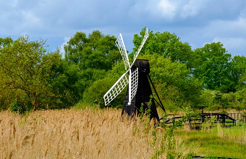 Wicken Fen