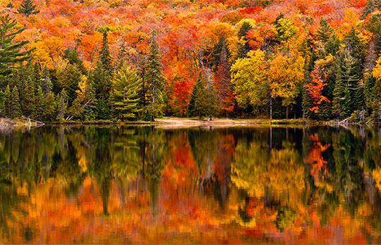 Algonquin Provincial Park