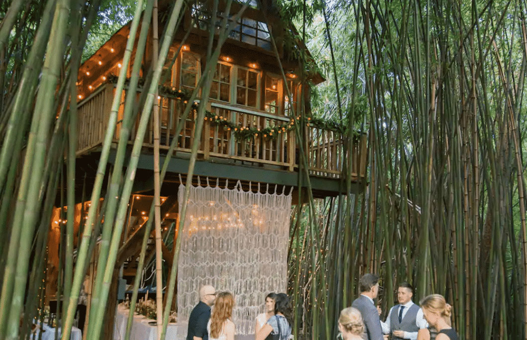 3. Alpaca Treehouse- Atlanta