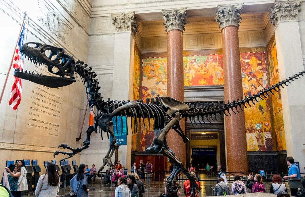 3. American Museum of Natural History