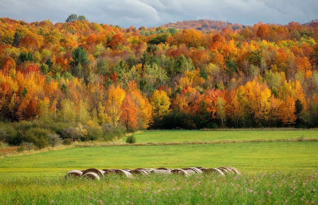 7. Amtrak Adirondack