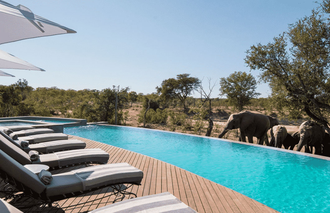 9. andBeyond Ngala Safari Lodge – Kruger National Park