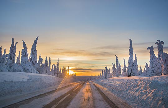 Arctic Road Trip