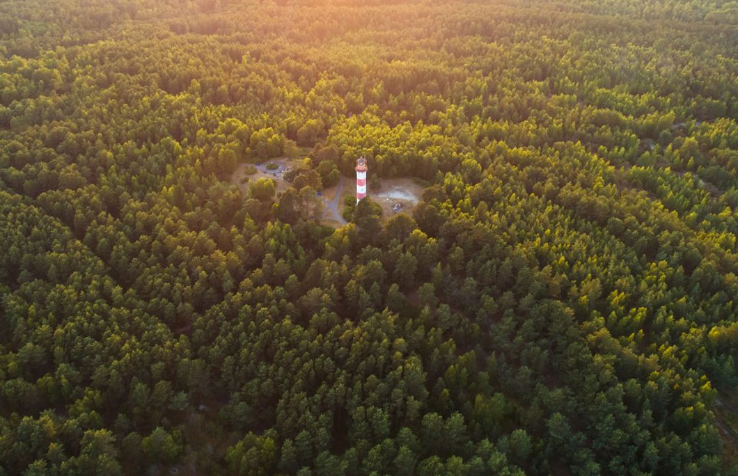 Around a third of the country is forestland