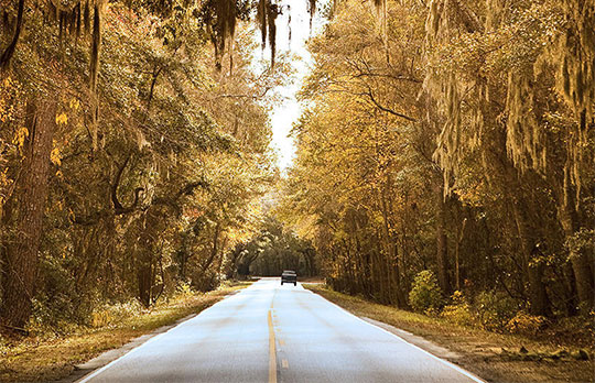 Ashley River Road