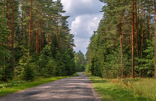 Aukstaitija National Park