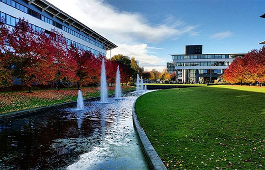 Autumn in University Of Warwick