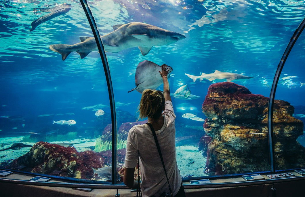 Barcelona L’Aquarium