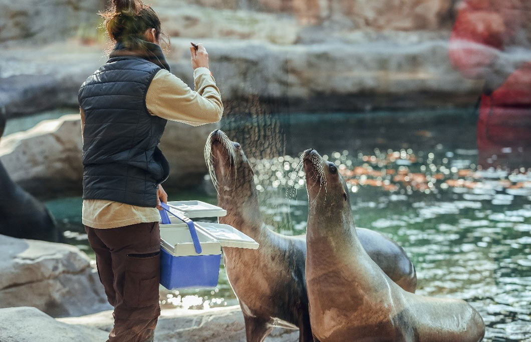 Barcelona Zoo