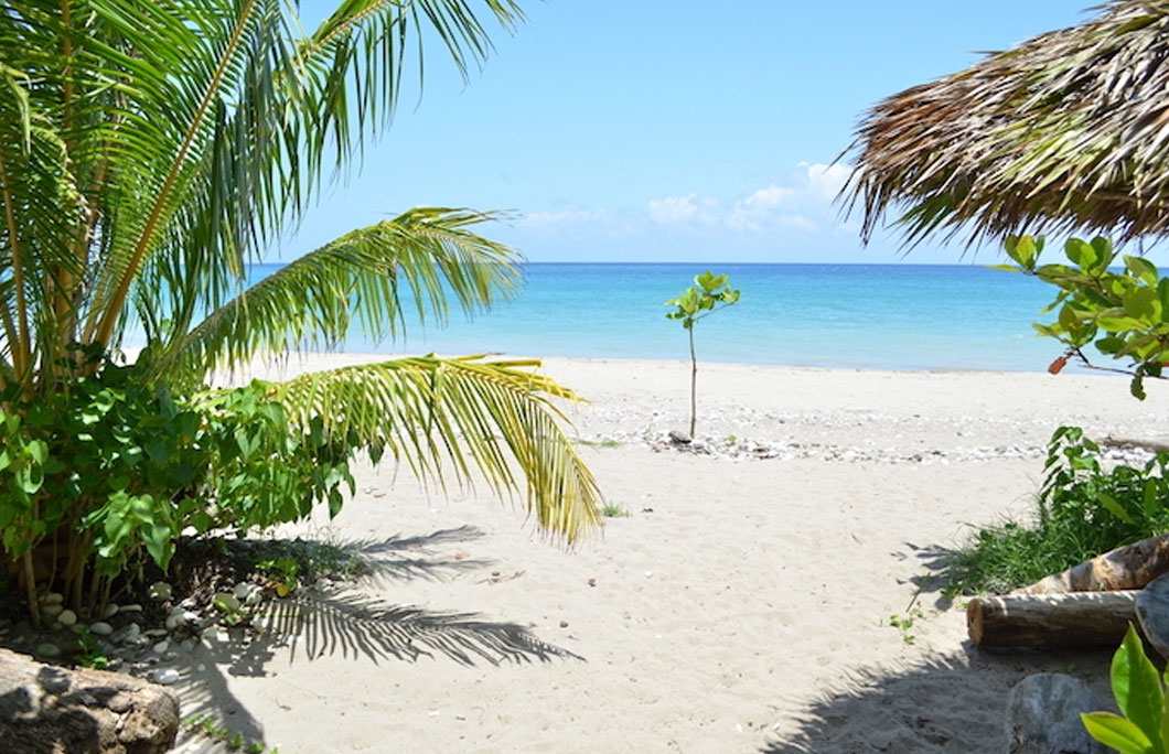 Beaches Cuba Or Dominican Republic 