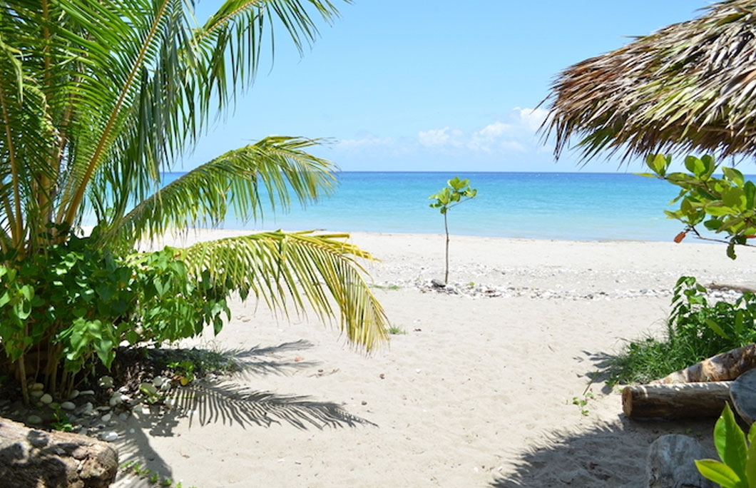 Beaches Jamaica or Costa Rica 