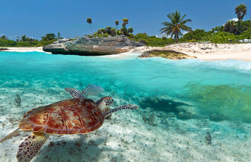 Beaches Cuba Or Mexico 