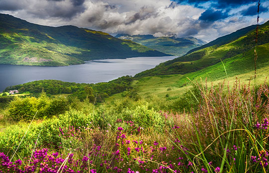 Ben Lomond