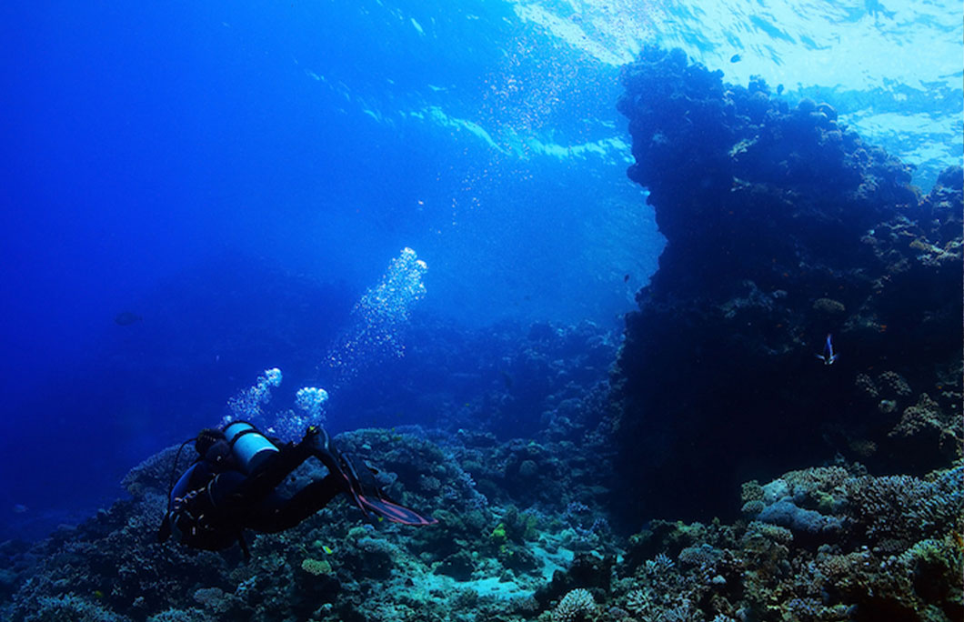 Top 10 Places in the Western Caribbean to Snorkel and Dive