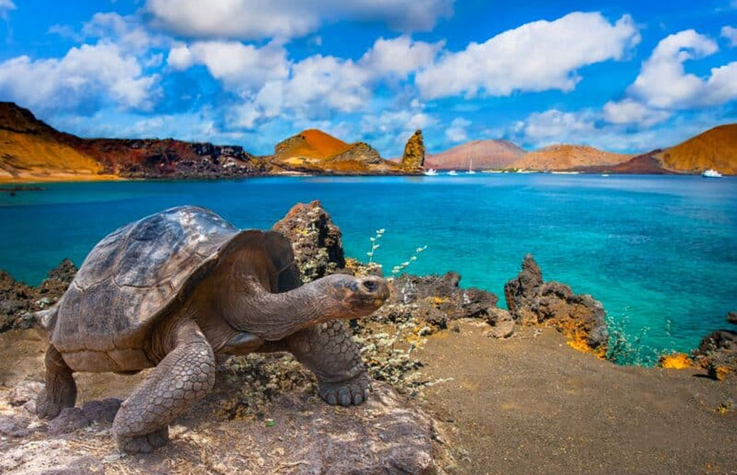 6. The Galapagos Islands