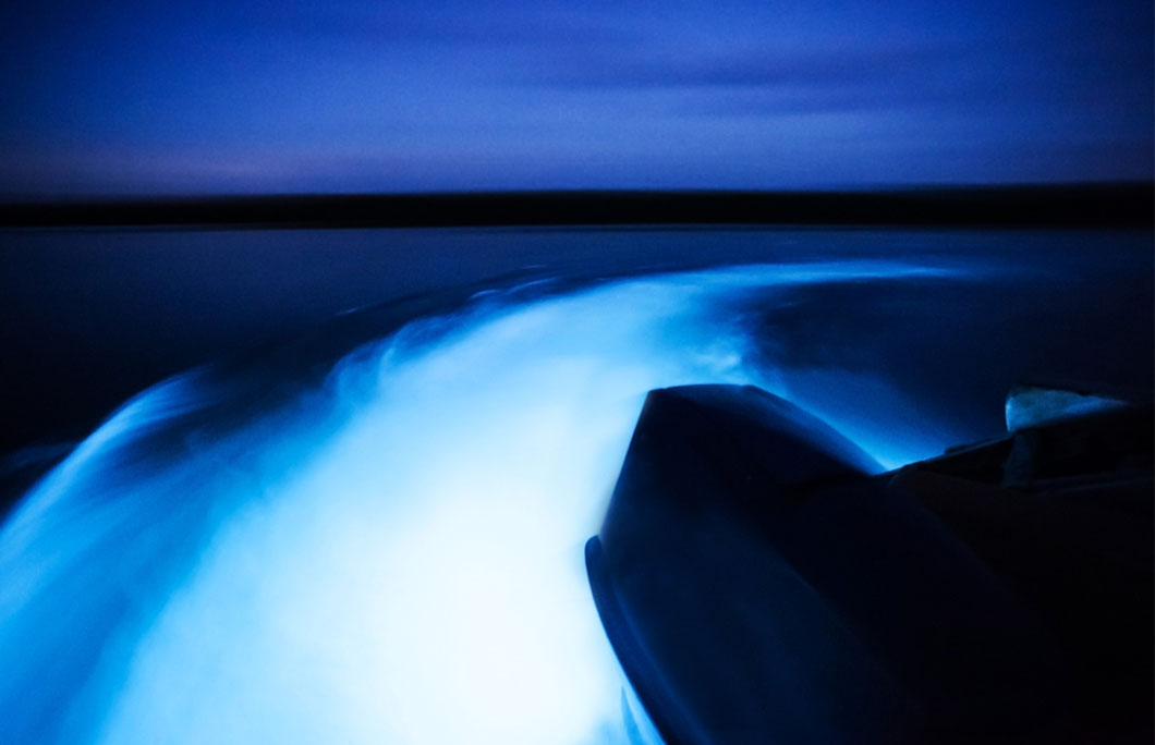Bioluminescent Waters