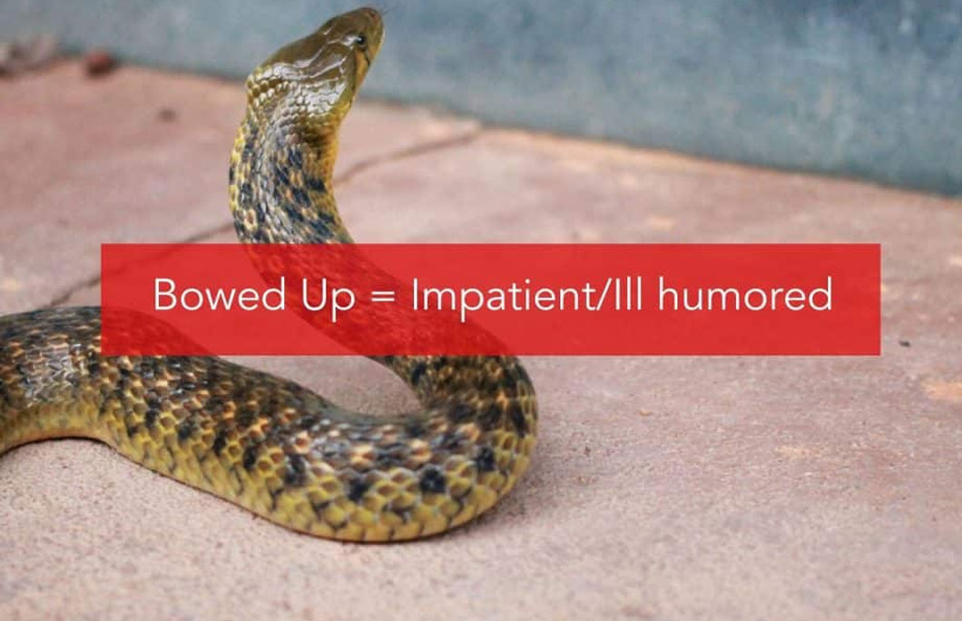 Bowed up= Refers to impatience or ill humor, similar to how a snake bows up its head before it strikes