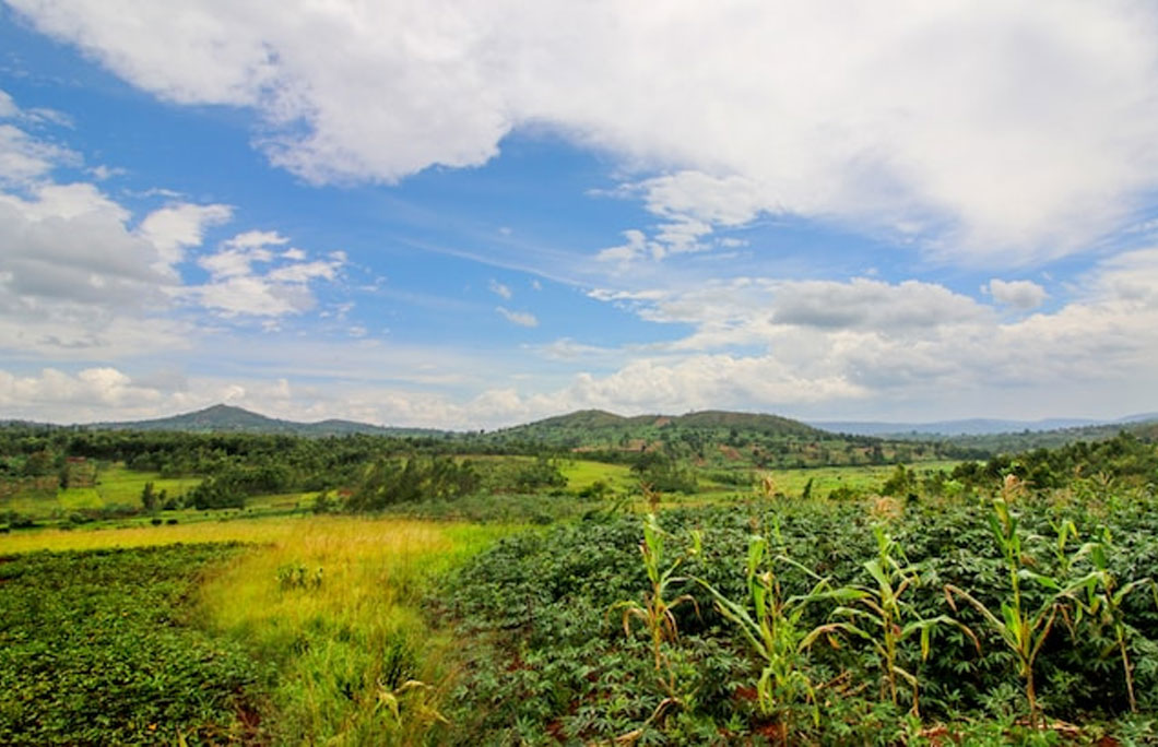 Burundi has  wildlife-rich national parks