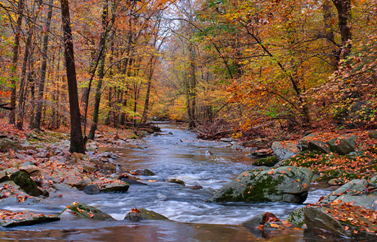 Bynum Run Creek