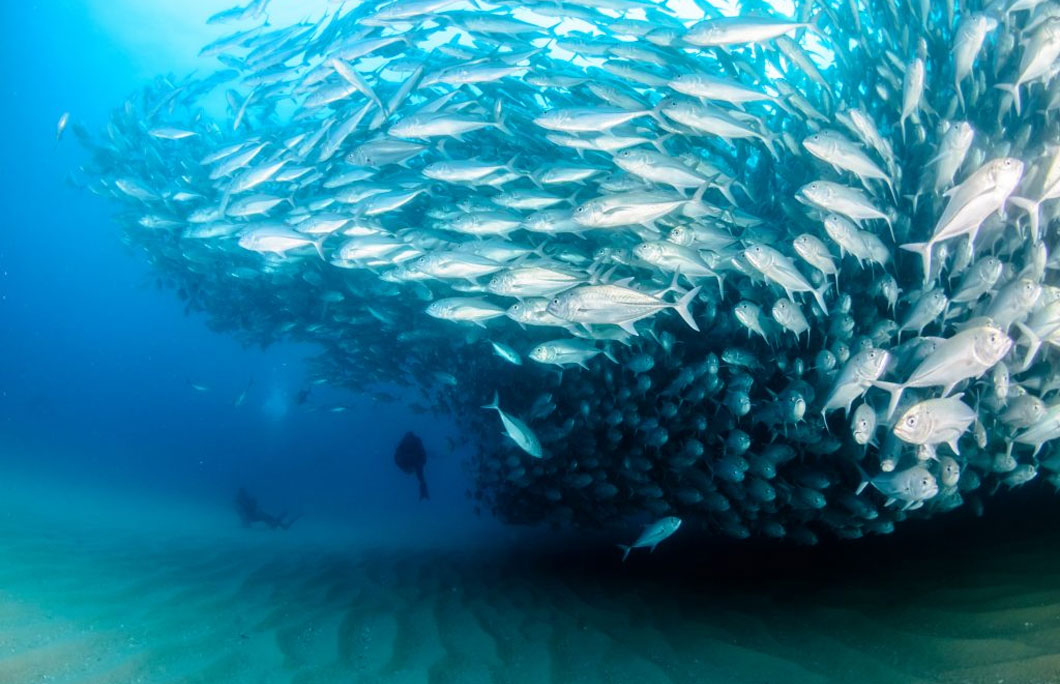 2. Cabo Pulmo National Park