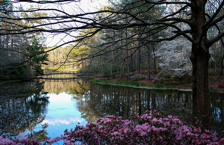 Callaway Gardens