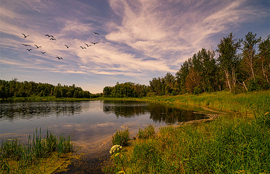 Chickakoo Lake Recreation Area