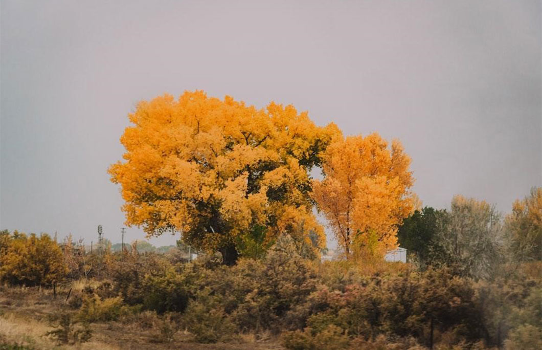 Colorado – United States