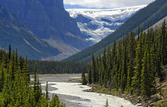 Columbia Icefields