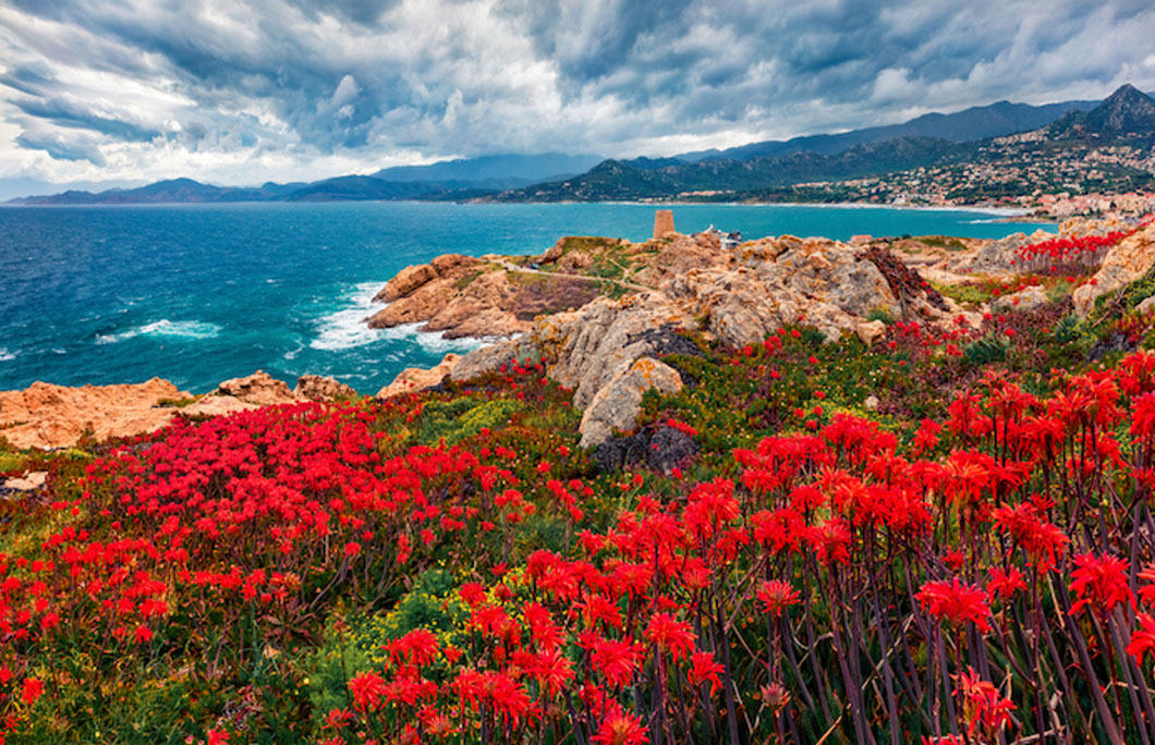 Corsica hasn’t always been French